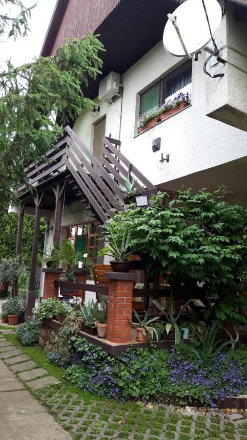 Agave Apartman Velence Ngoại thất bức ảnh