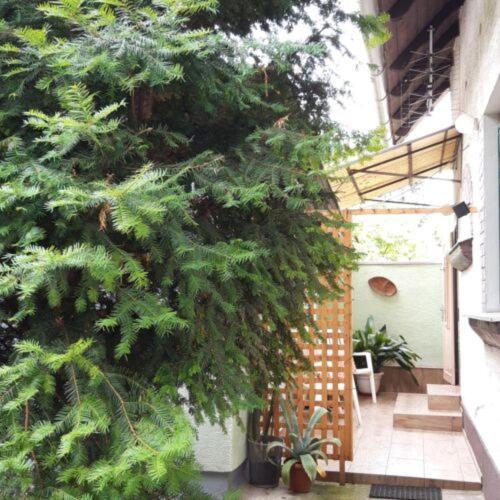 Agave Apartman Velence Ngoại thất bức ảnh