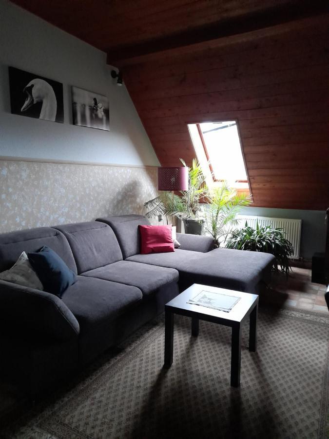 Agave Apartman Velence Ngoại thất bức ảnh